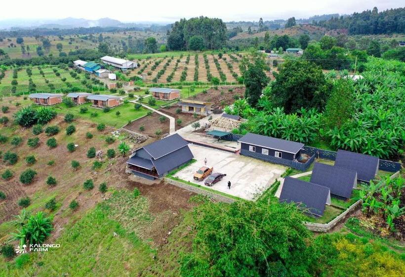 ホテル Kalongo Farm Ecosystem Homes
