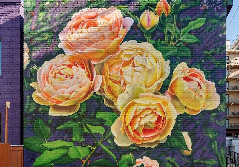 בית מלון כפרי The Acoma House