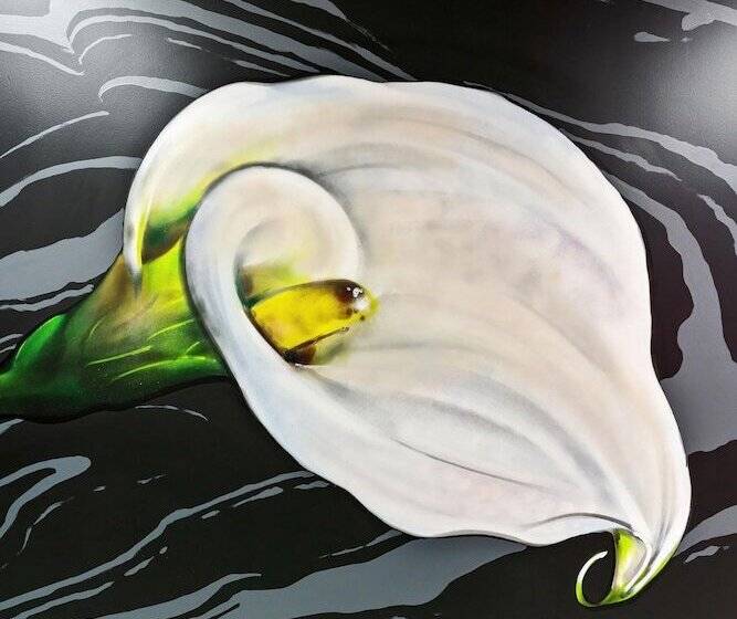 בית מלון כפרי The Acoma House