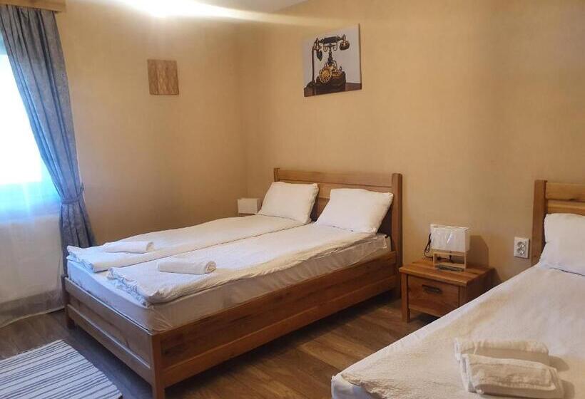 Pensiunea Transilvania