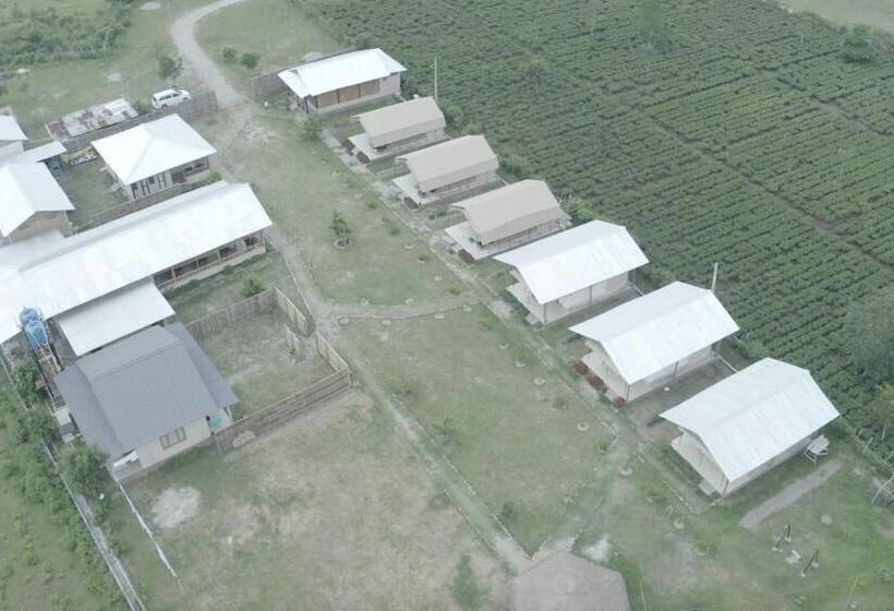 리조트 Sonai Nameri   Nameri National Park