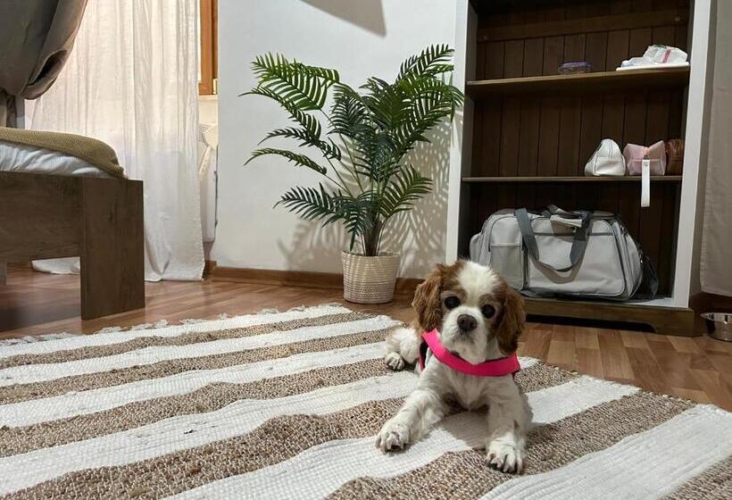 Bed and Breakfast Bonne Nuit Terracina