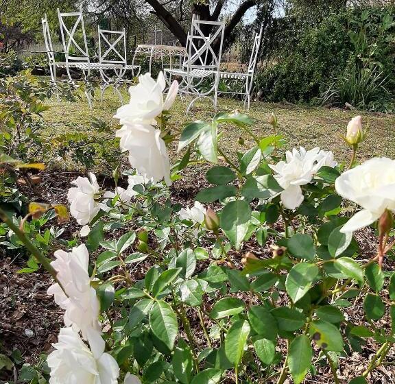 צימר Cesarea Landgoed