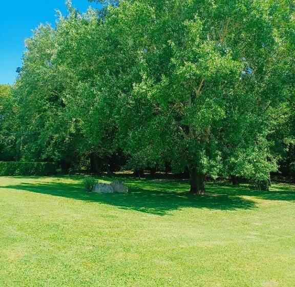 ベッドアンドブレックファースト Le Moulin De L Asse Chambre D Hôtes