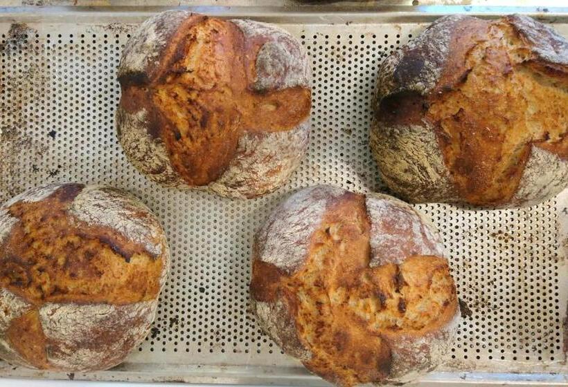 Bed and Breakfast Skogstorp Hvilohem