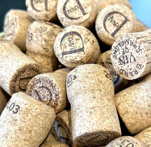 Villa Eulalie B&b Guest House Nestled In The Champagne Area