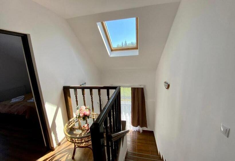 酒店 Pensiunea Agroturistica Matis