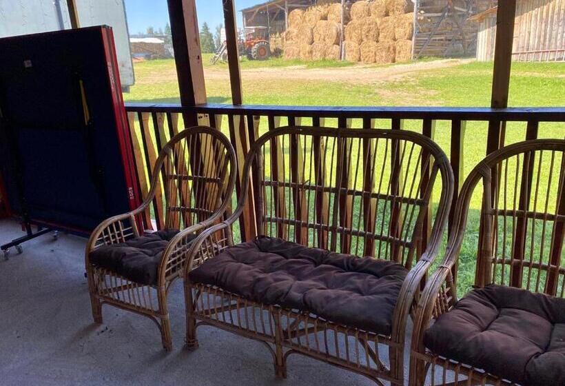 Отель Pensiunea Agroturistica Matis