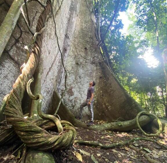 فندق Vila Flexal Pousada