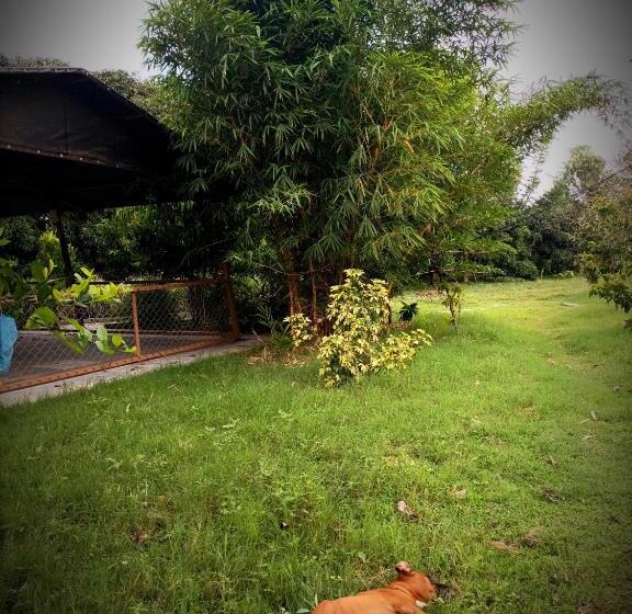 酒店 Sunnyside Farmstay