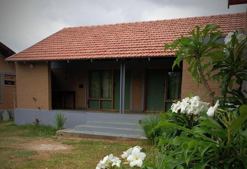 酒店 Sunnyside Farmstay