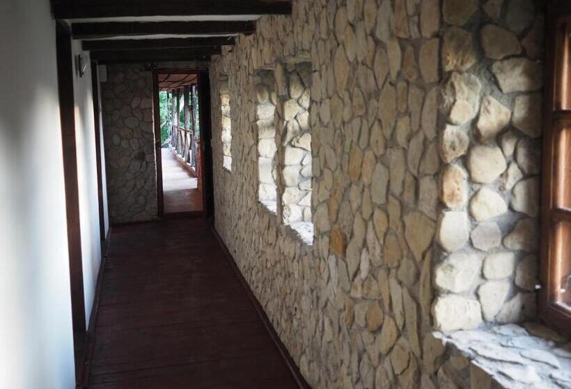 펜션 Conacul Muzeul Pietrei