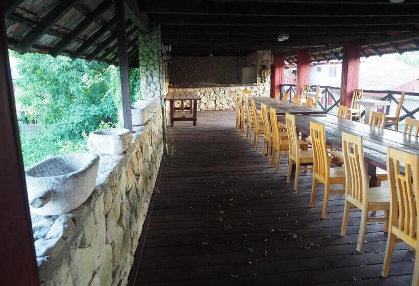 펜션 Conacul Muzeul Pietrei