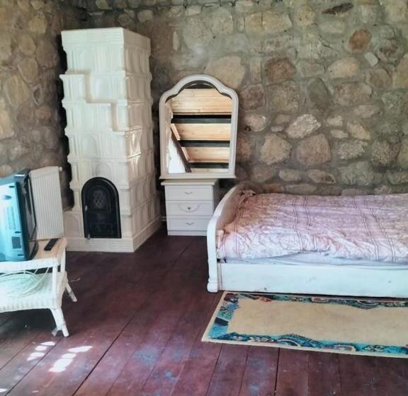 펜션 Conacul Muzeul Pietrei