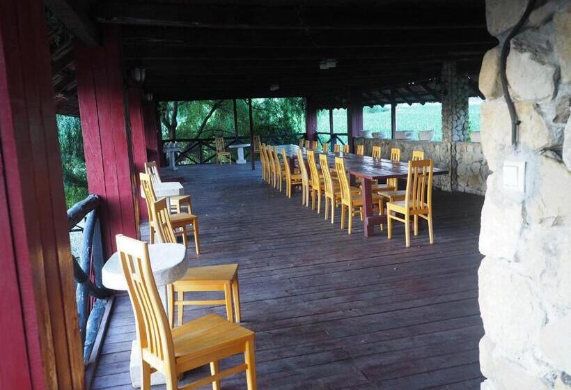 펜션 Conacul Muzeul Pietrei