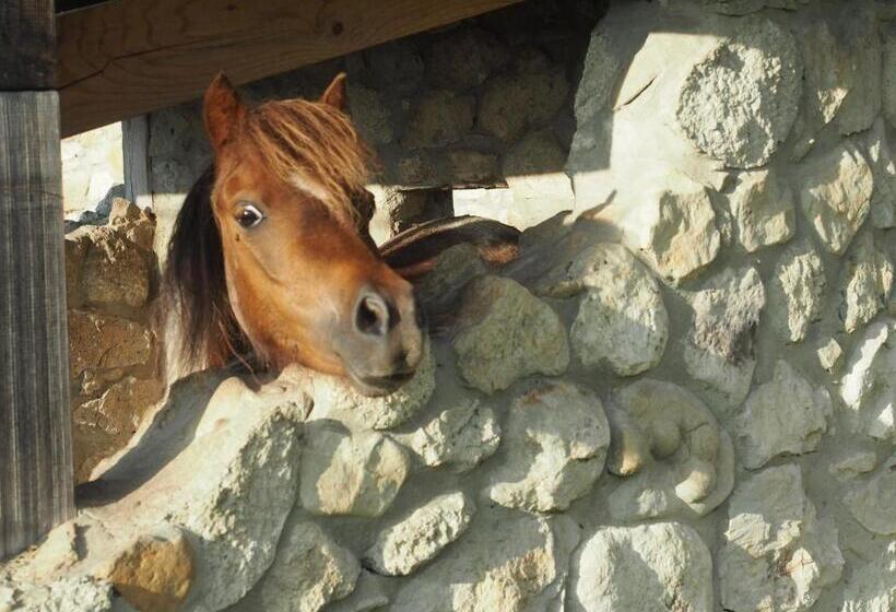 펜션 Conacul Muzeul Pietrei