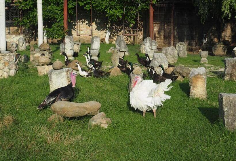 펜션 Conacul Muzeul Pietrei