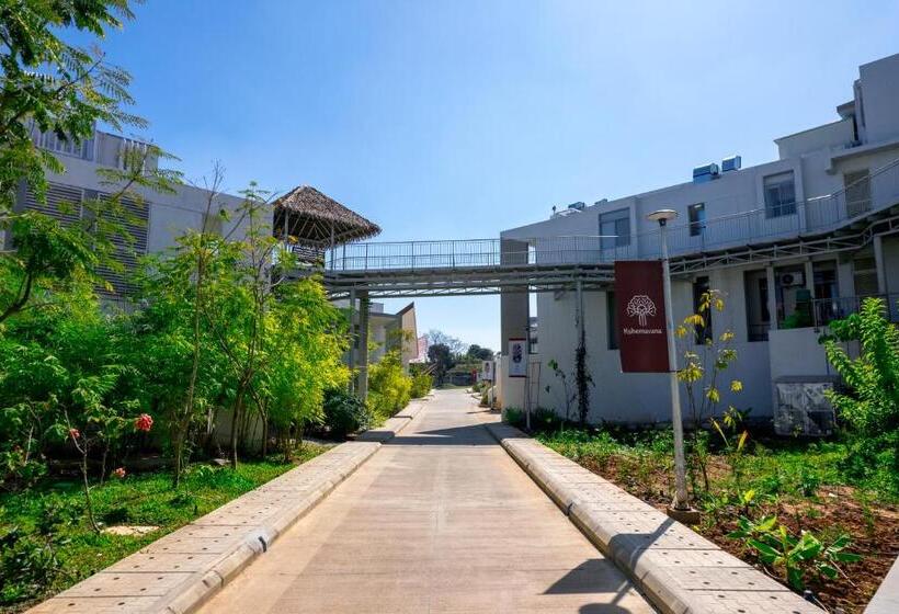 אתר נופש Kshemavana The Wellness Retreat