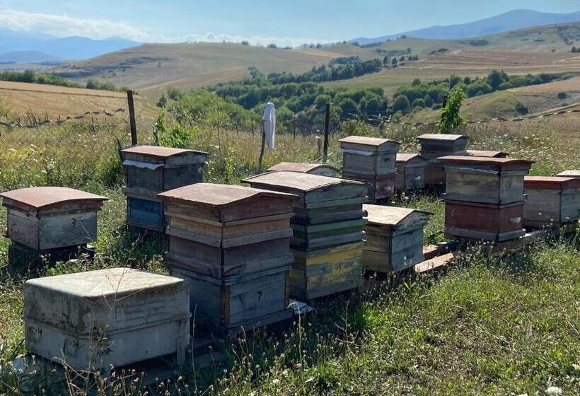 Bed and Breakfast Nor Takh