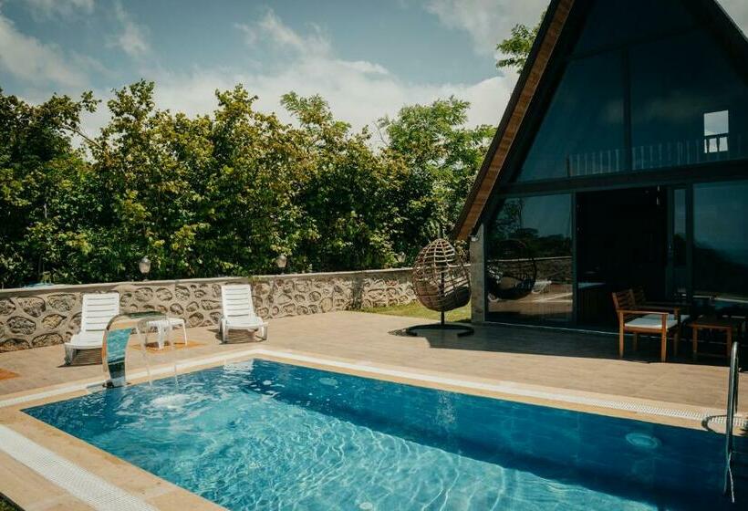 בית מלון כפרי Bungalife