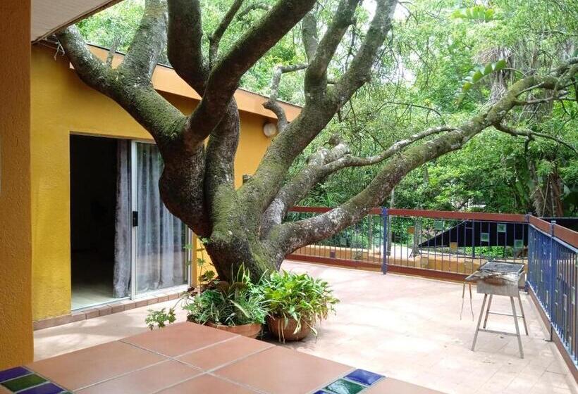 호텔 Nelspruit Mhlangeni Guest House