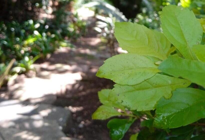 호텔 Nelspruit Mhlangeni Guest House