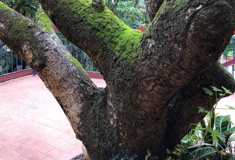 호텔 Nelspruit Mhlangeni Guest House