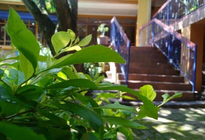 호텔 Nelspruit Mhlangeni Guest House