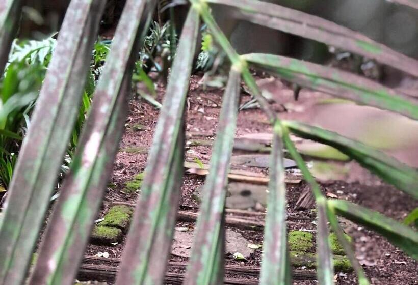 호텔 Nelspruit Mhlangeni Guest House