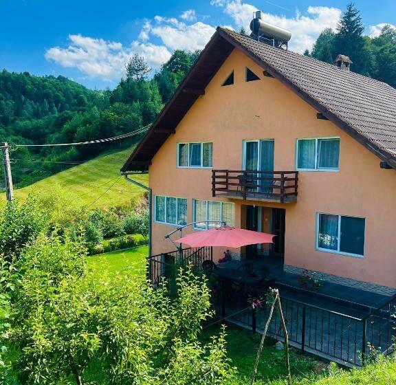 펜션 Casa Anca și Nicușor