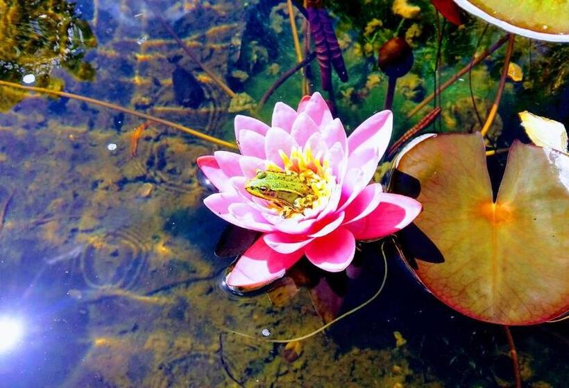 膳宿费 Drenthse Groninger Landschap