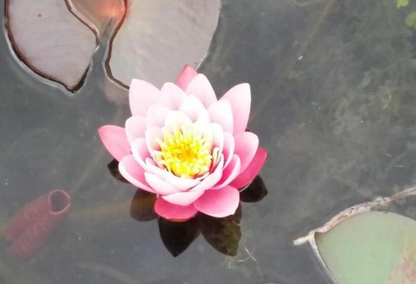 פנסיון Drenthse Groninger Landschap