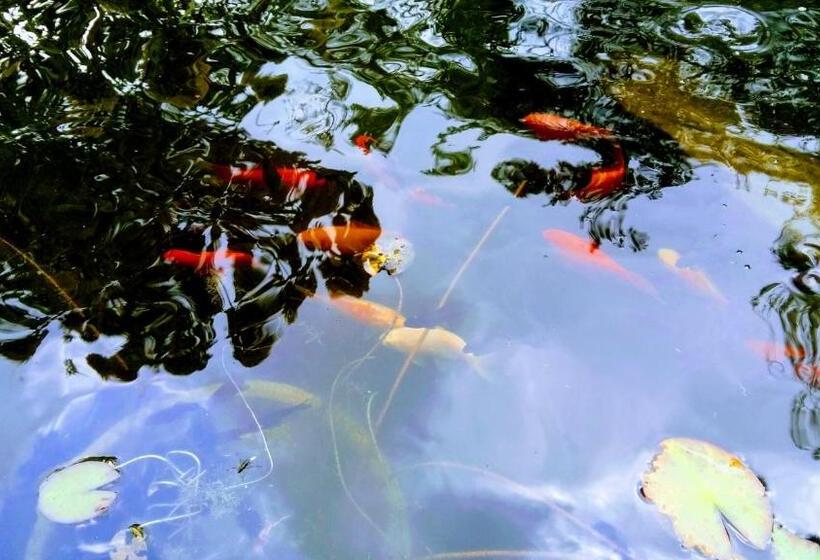 膳宿费 Drenthse Groninger Landschap