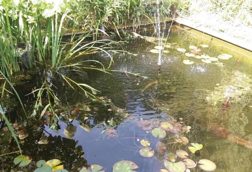 膳宿费 Drenthse Groninger Landschap