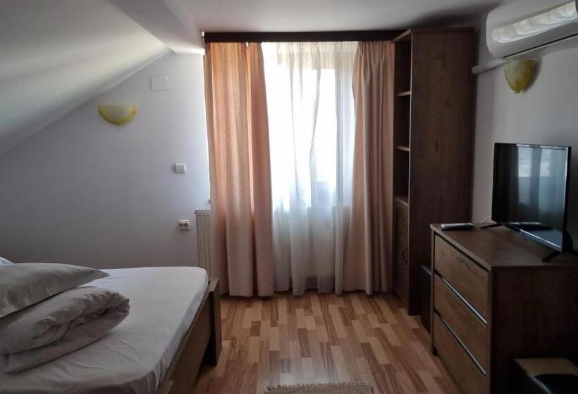 Пансион Hanul Ancutei