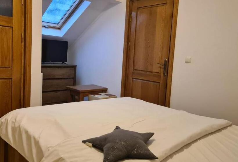 Пансион Hanul Ancutei