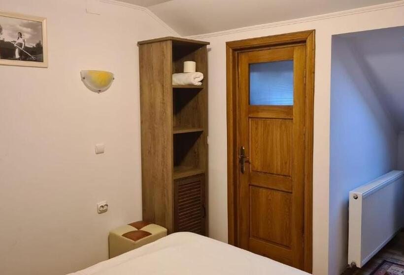 Пансион Hanul Ancutei