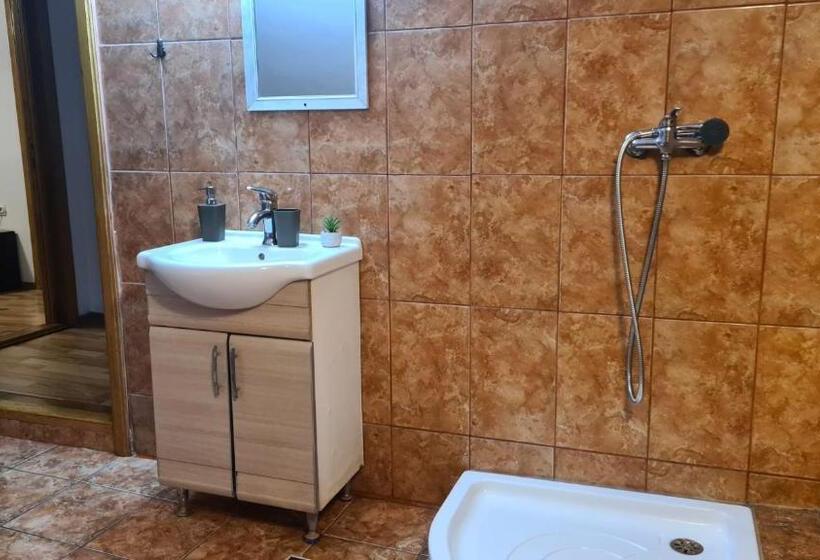 Пансион Hanul Ancutei