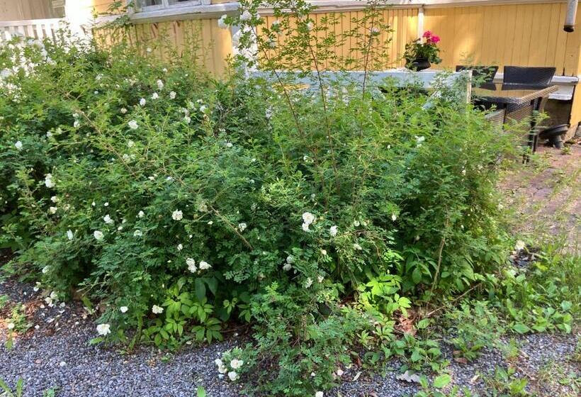 بنسيون Villa Rebecca