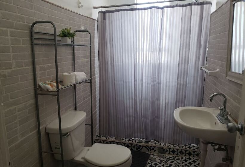 Singular Centro Histórico