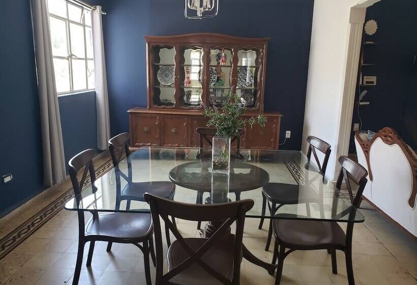 Singular Centro Histórico