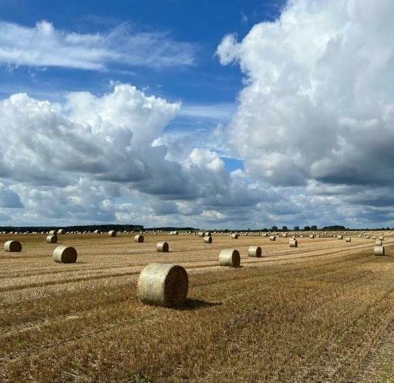 Bed And Breakfast   2 Schlafzimmer   6 Personen   Stadtrand   S Bahn   Parkplatz   Immanuel Helios K