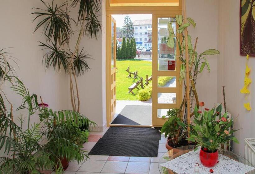 مبيت وإفطار Pensiunea Praid   Parajd Panzió