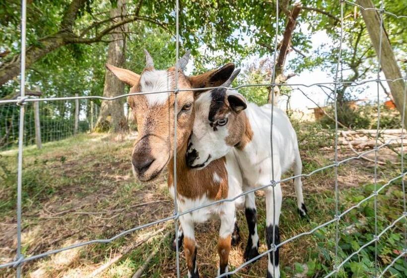 酒店 Au Pied Du Frêne