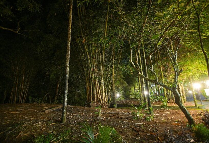 酒店 B Camp Resorts & Homestays