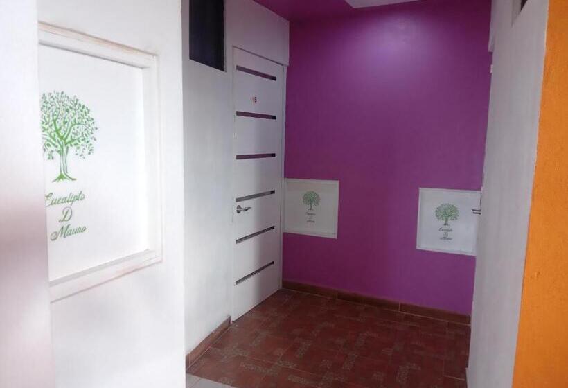 ホテル Eucaliptos De Mauro