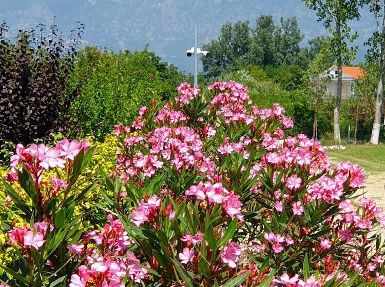 酒店 Nerium Garden Inn Tirana Airport