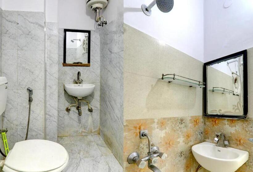 Отель Oyo Flagship Sri Krishna Palace