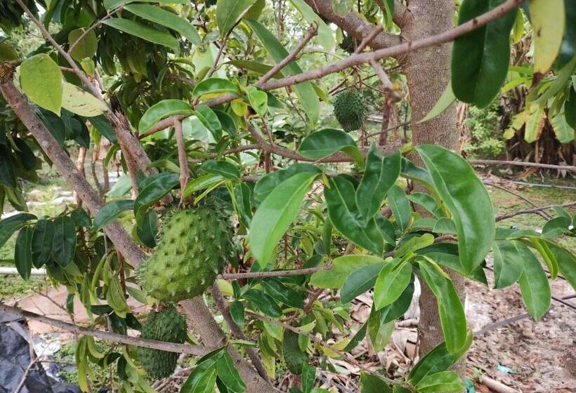 فندق Sns Organic Farm Stay