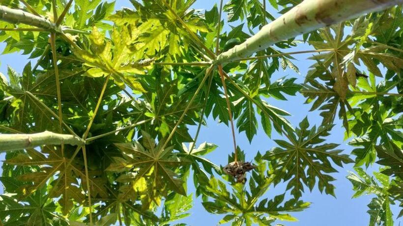 فندق Sns Organic Farm Stay